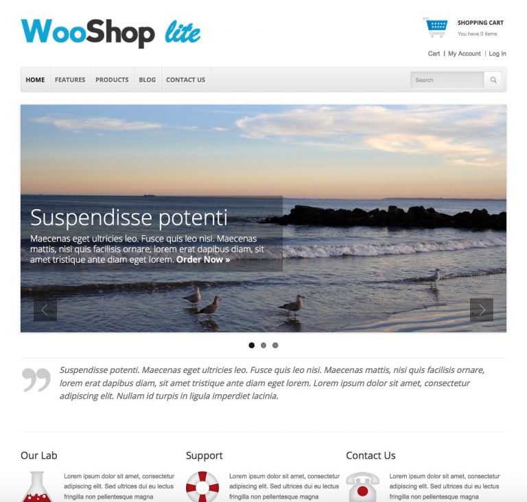 theme wordpress bán hàng miễn phí WooShop Lite