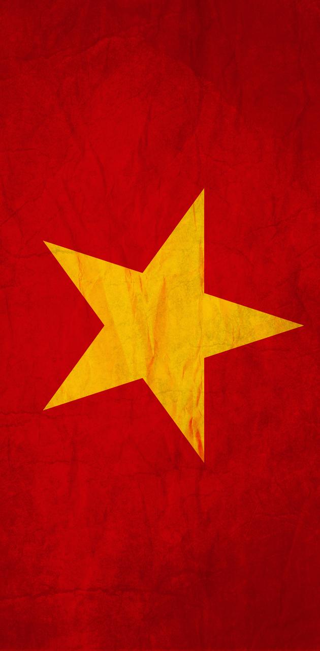 Bộ thuế tập luyện hình nền lá cờ nước Việt Nam tuyệt đẹp mắt - Dành mang lại những ...